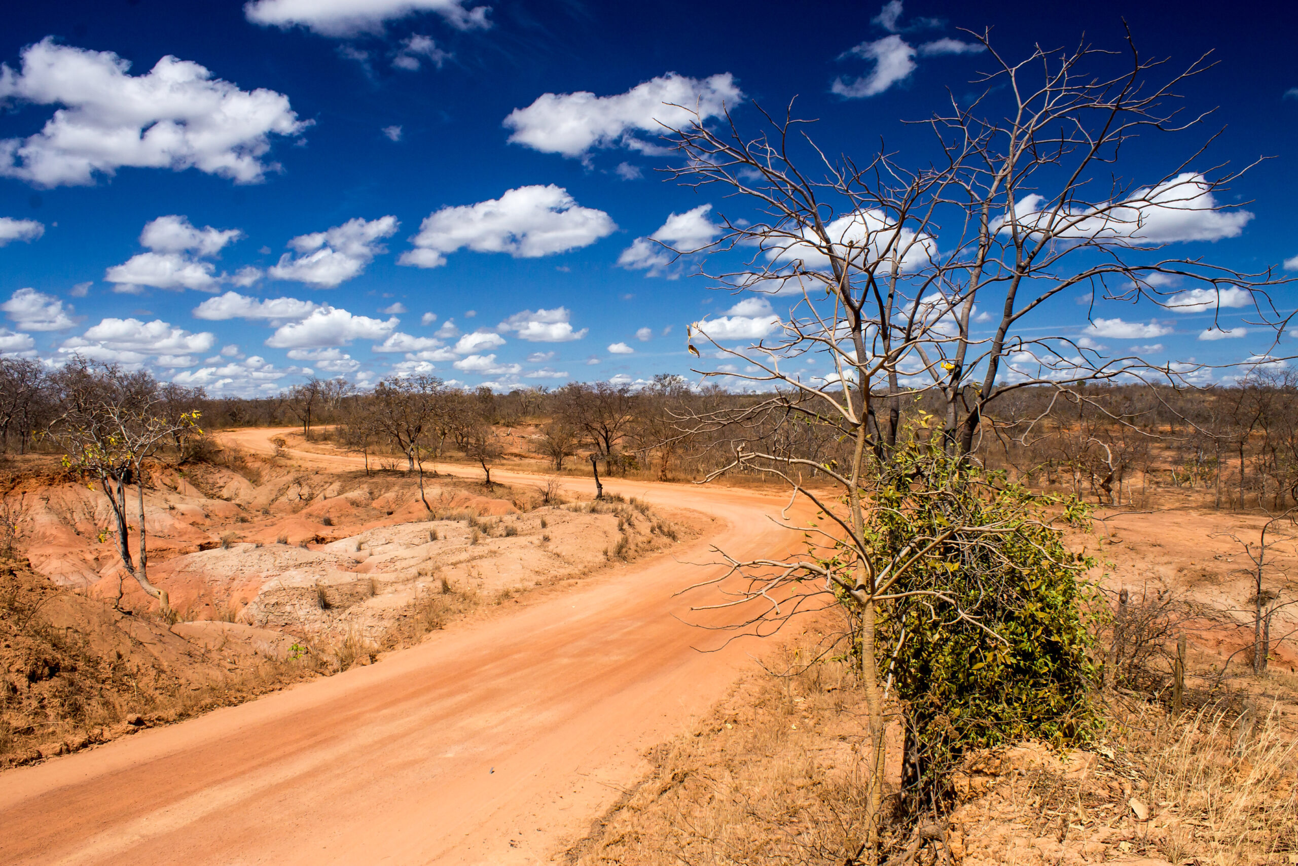 Imagem mostra região ressecada do Cerrado, por onde passa uma estrada.
