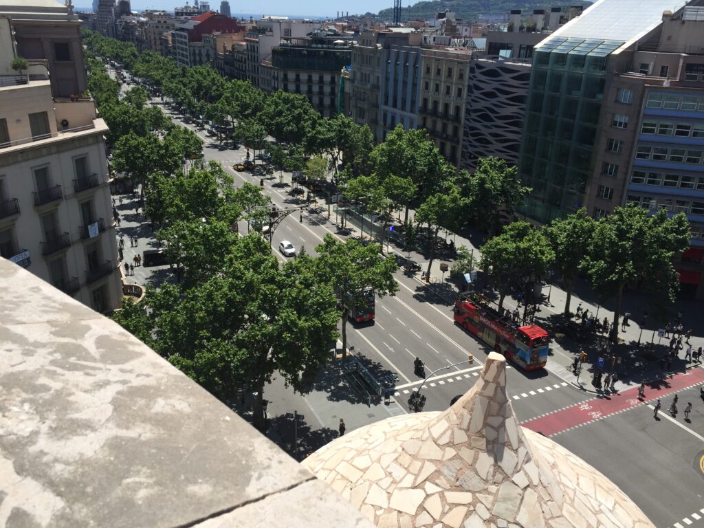 Fotografia em ângulo alto de uma ampla avenida urbana com extensas fileiras de árvores frondosas que cobrem as calçadas com sombra. A imagem tem o propósito de ilustrar a eficácia da infraestrutura verde planejada para resfriar as cidades.