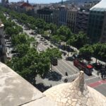 Fotografia em ângulo alto de uma ampla avenida urbana com extensas fileiras de árvores frondosas que cobrem as calçadas com sombra. A imagem tem o propósito de ilustrar a eficácia da infraestrutura verde planejada para resfriar as cidades.